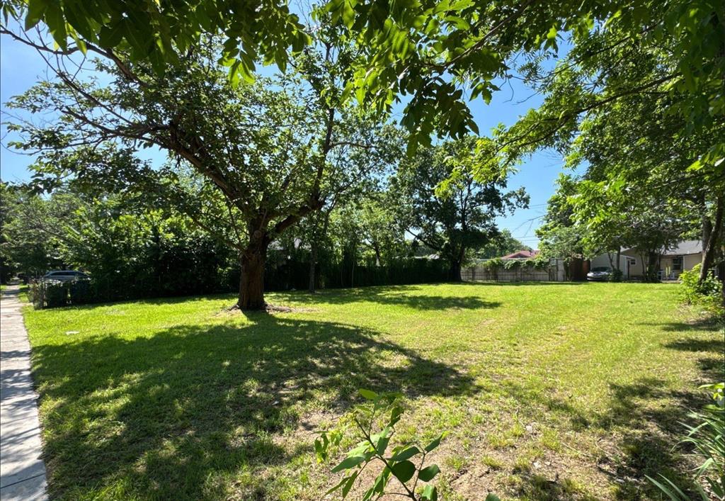 7242 Amy Street Dallas, TX 75217 - Photo 2 of 4 Expansive grass lot featuring mature trees providing shade, a concrete sidewalk bordering one side, and a perimeter of dense foliage