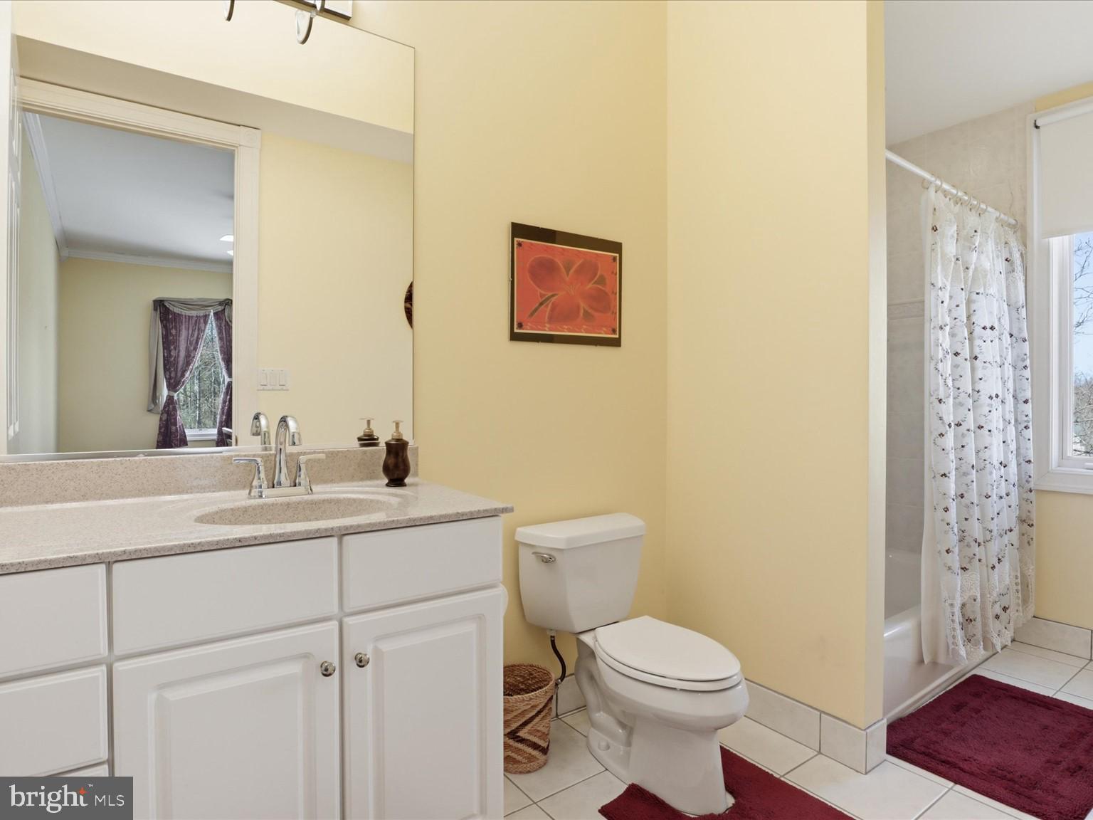 12709 Greenbriar Road Potomac, MD 20854 - Photo 57 of 120 Bright and inviting bathroom retreat.