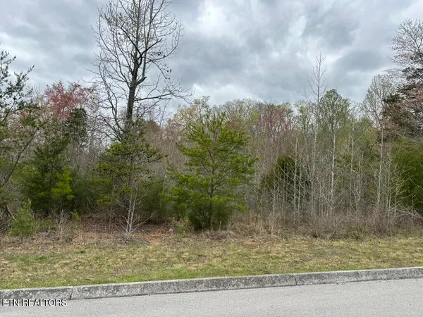$44,500 | 309 Caney View Drive, Harriman, TN 37748