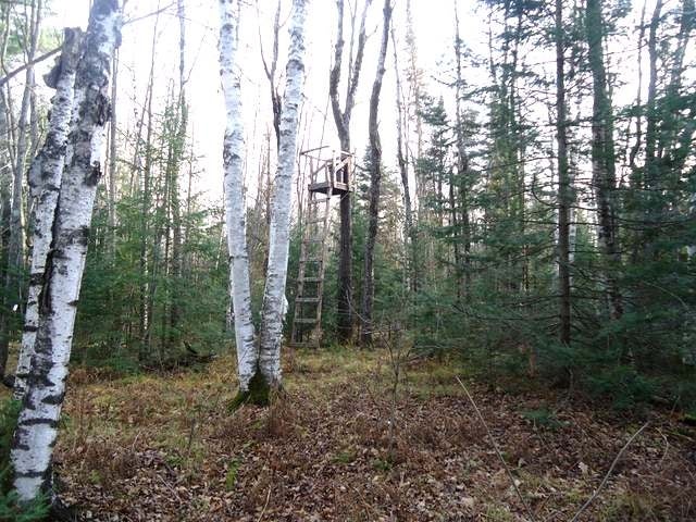 N10689 Tomptabo Road Gleason, WI 54435 - Photo 20 of 20 Gallery Image 20