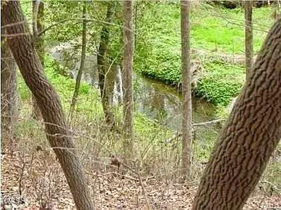 a view of outdoor space with trees