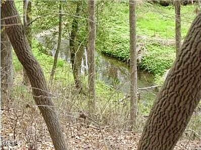 4921 Highway 42 Raleigh, NC 27603 - Photo 12 of 14 IMG_6875