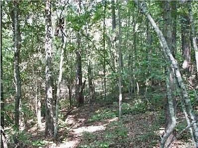 4921 Highway 42 Raleigh, NC 27603 - Photo 14 of 14 IMG_6877