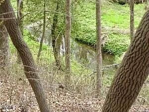 4921 Highway 42 Raleigh, NC 27603 - Photo 5 of 14 IMG_6869