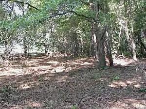 4921 Highway 42 Raleigh, NC 27603 - Photo 6 of 14 IMG_6870