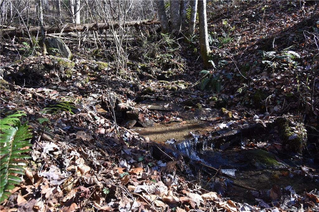 Land Off Forest Run Road, Unit F Whittier, NC 28789 - Photo 12 of 29 Gallery Image 12