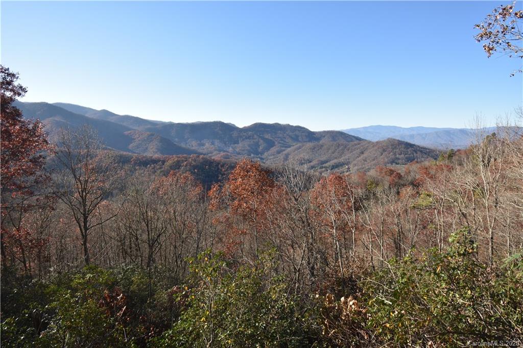 Land Off Forest Run Road, Unit F Whittier, NC 28789 - Photo 14 of 29 Gallery Image 14