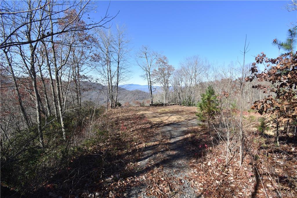 Land Off Forest Run Road, Unit F Whittier, NC 28789 - Photo 15 of 29 Gallery Image 15