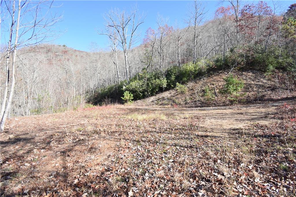 Land Off Forest Run Road, Unit F Whittier, NC 28789 - Photo 18 of 29 Gallery Image 18