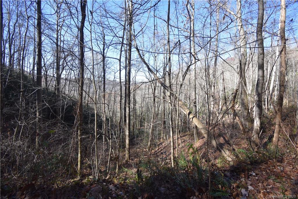 Land Off Forest Run Road, Unit F Whittier, NC 28789 - Photo 19 of 29 Gallery Image 19