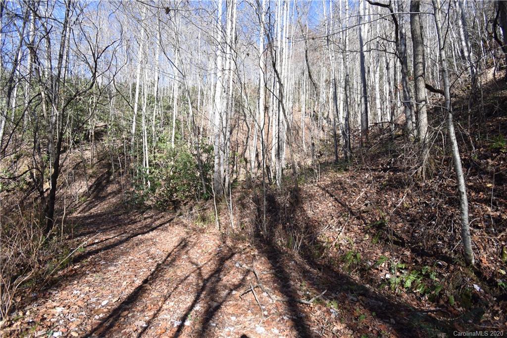 Land Off Forest Run Road, Unit F Whittier, NC 28789 - Photo 20 of 29 Gallery Image 20
