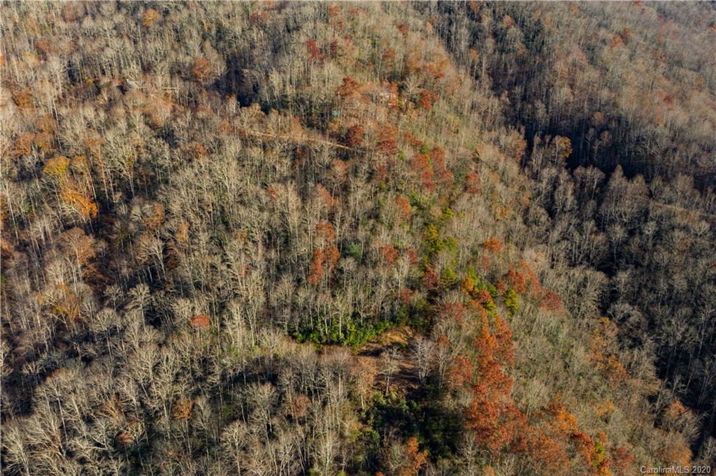 Land Off Forest Run Road, Unit F Whittier, NC 28789 - Photo 3 of 29 Gallery Image 3
