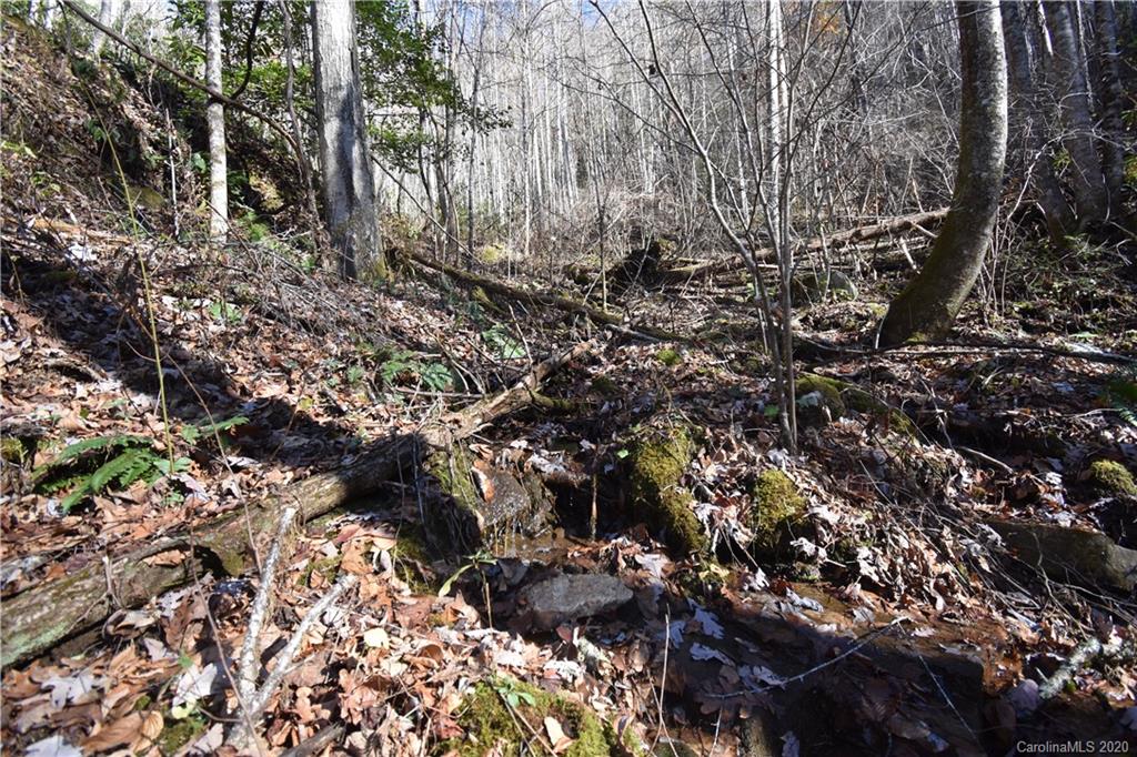 Land Off Forest Run Road, Unit F Whittier, NC 28789 - Photo 21 of 29 Gallery Image 21