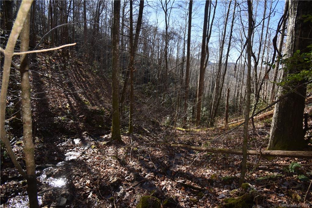 Land Off Forest Run Road, Unit F Whittier, NC 28789 - Photo 23 of 29 Gallery Image 23