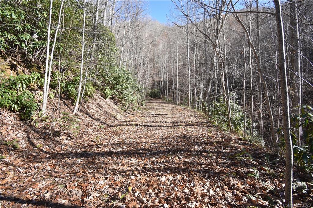 Land Off Forest Run Road, Unit F Whittier, NC 28789 - Photo 24 of 29 Gallery Image 24