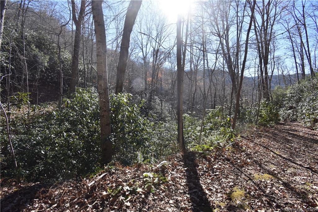 Land Off Forest Run Road, Unit F Whittier, NC 28789 - Photo 25 of 29 Gallery Image 25