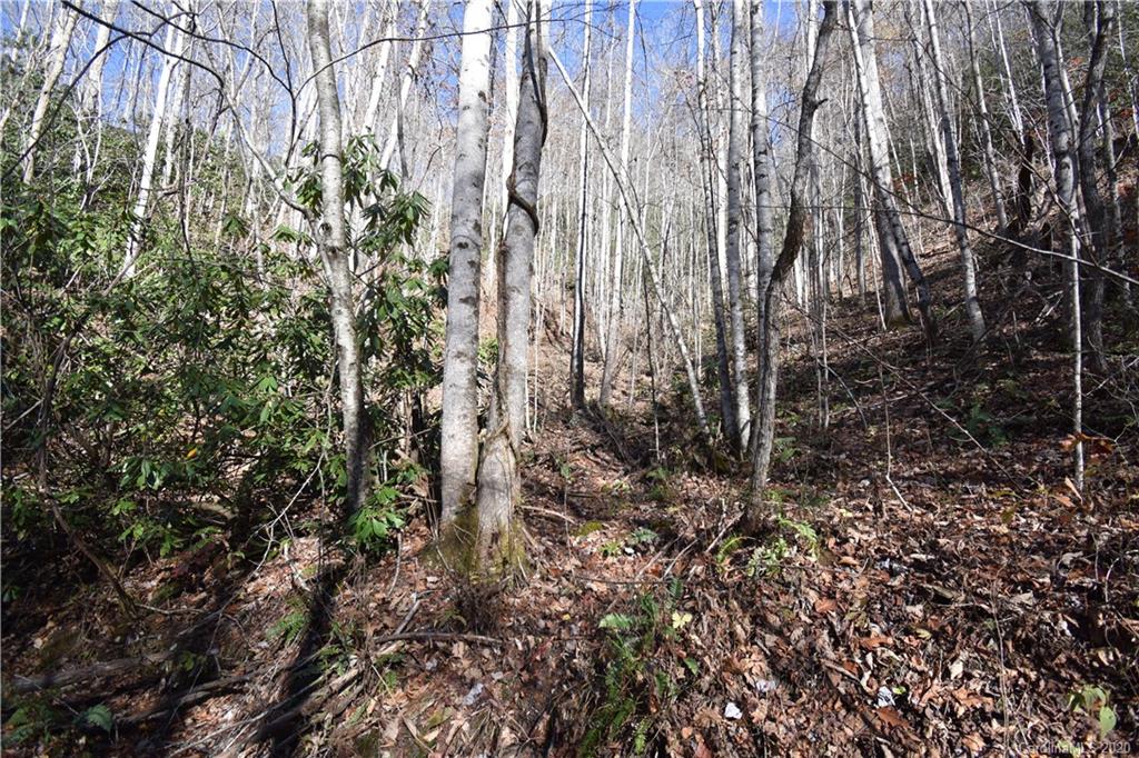 Land Off Forest Run Road, Unit F Whittier, NC 28789 - Photo 26 of 29 Gallery Image 26