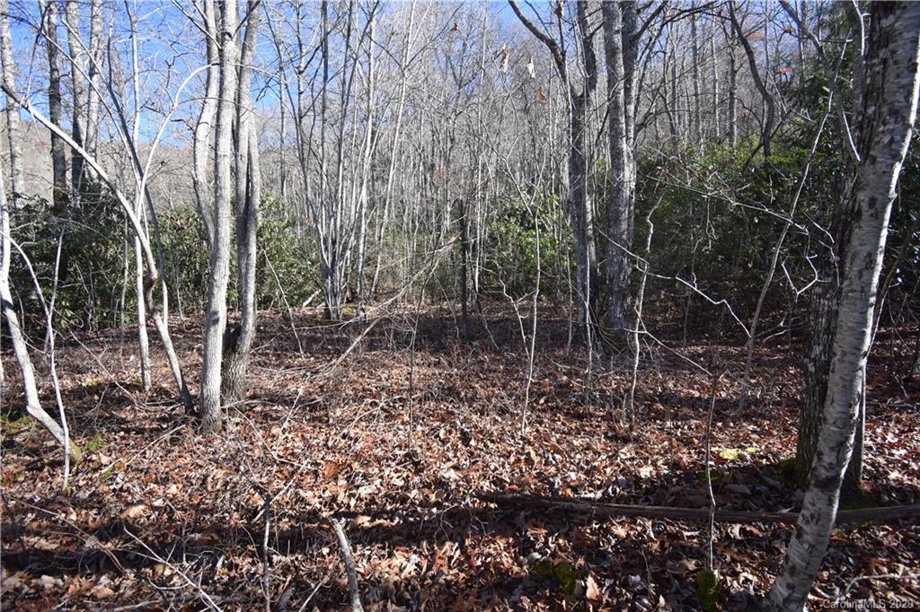 Land Off Forest Run Road, Unit F Whittier, NC 28789 - Photo 27 of 29 Gallery Image 27