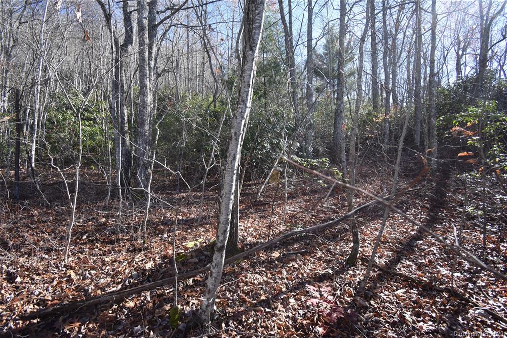 Land Off Forest Run Road, Unit F Whittier, NC 28789 - Photo 28 of 29 Gallery Image 28