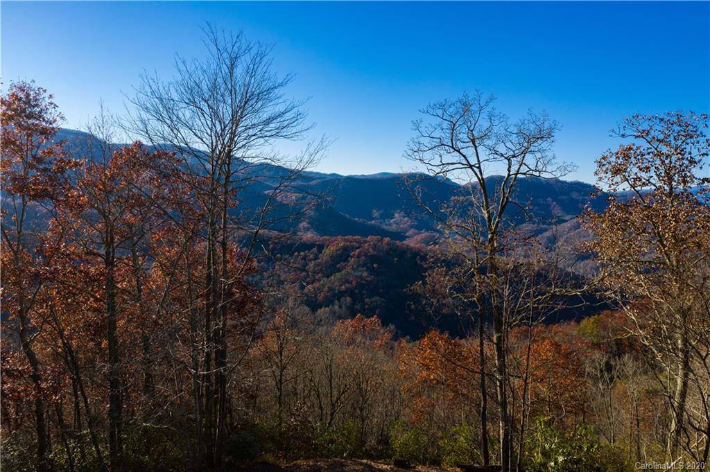 Land Off Forest Run Road, Unit F Whittier, NC 28789 - Photo 5 of 29 Gallery Image 5