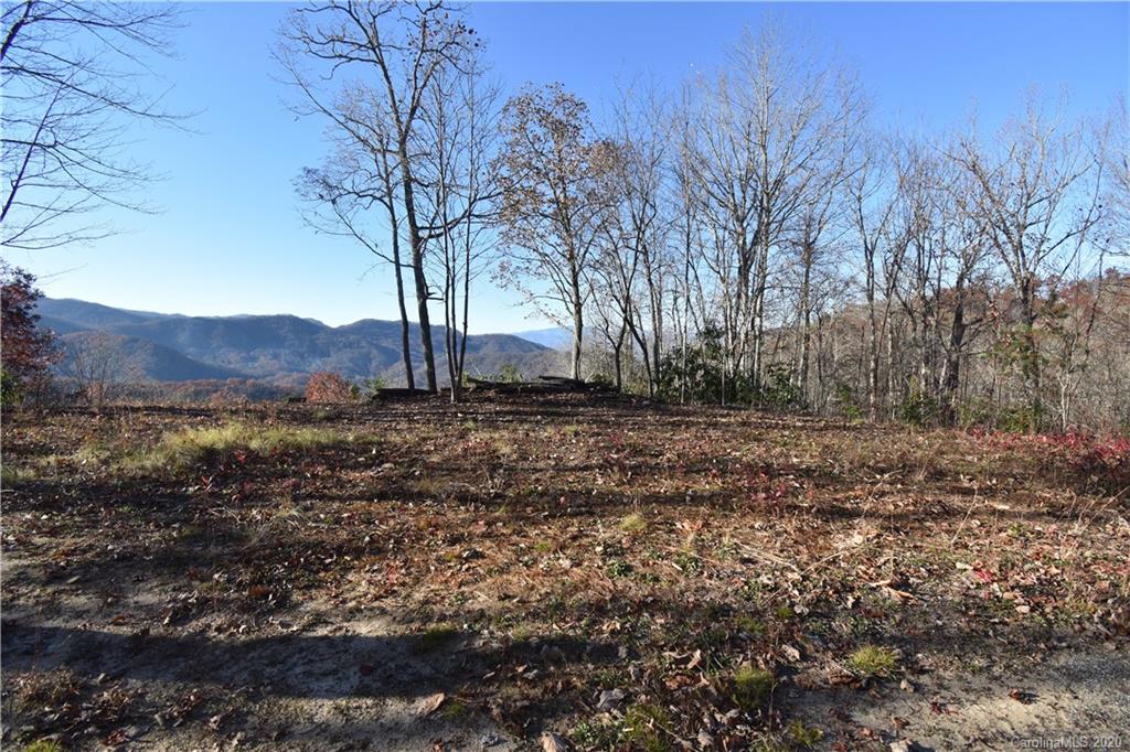 Land Off Forest Run Road, Unit F Whittier, NC 28789 - Photo 8 of 29 Gallery Image 8