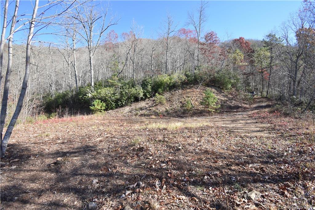 Land Off Forest Run Road, Unit F Whittier, NC 28789 - Photo 9 of 29 Gallery Image 9