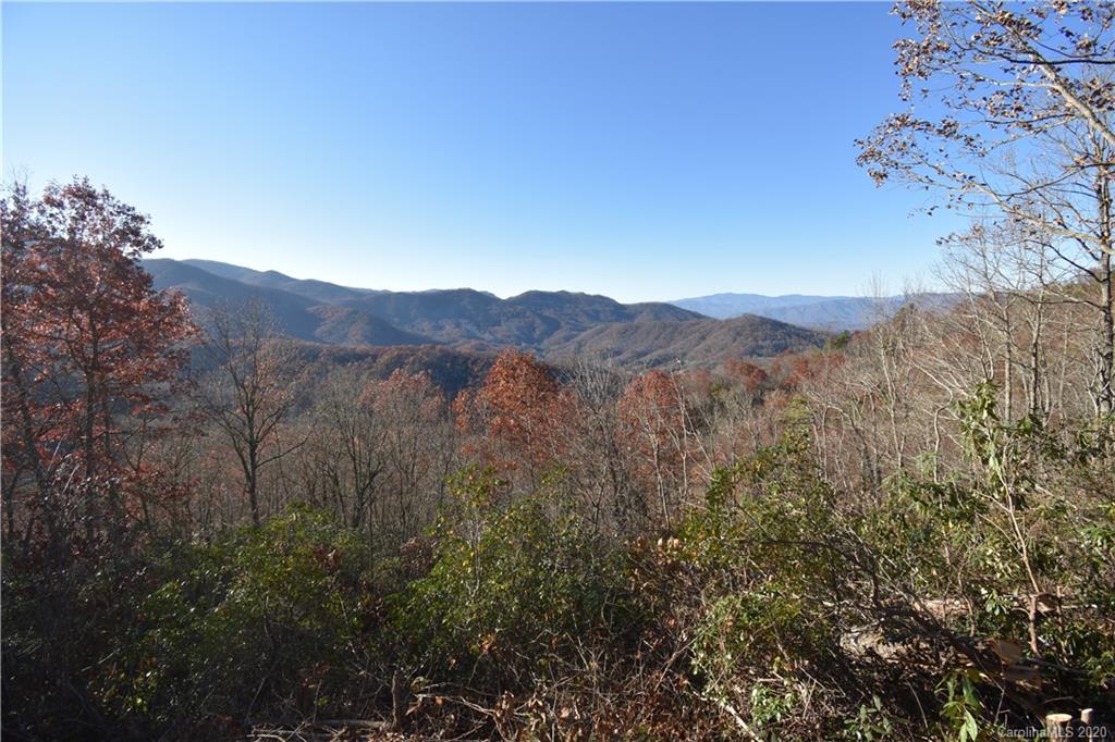 Land Off Forest Run Road, Unit F Whittier, NC 28789 - Photo 10 of 29 Gallery Image 10