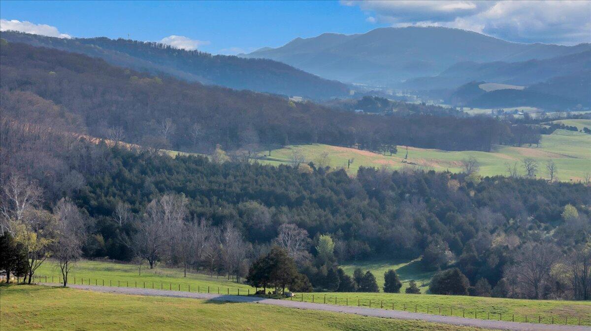 484 Mill Pointe Road View
