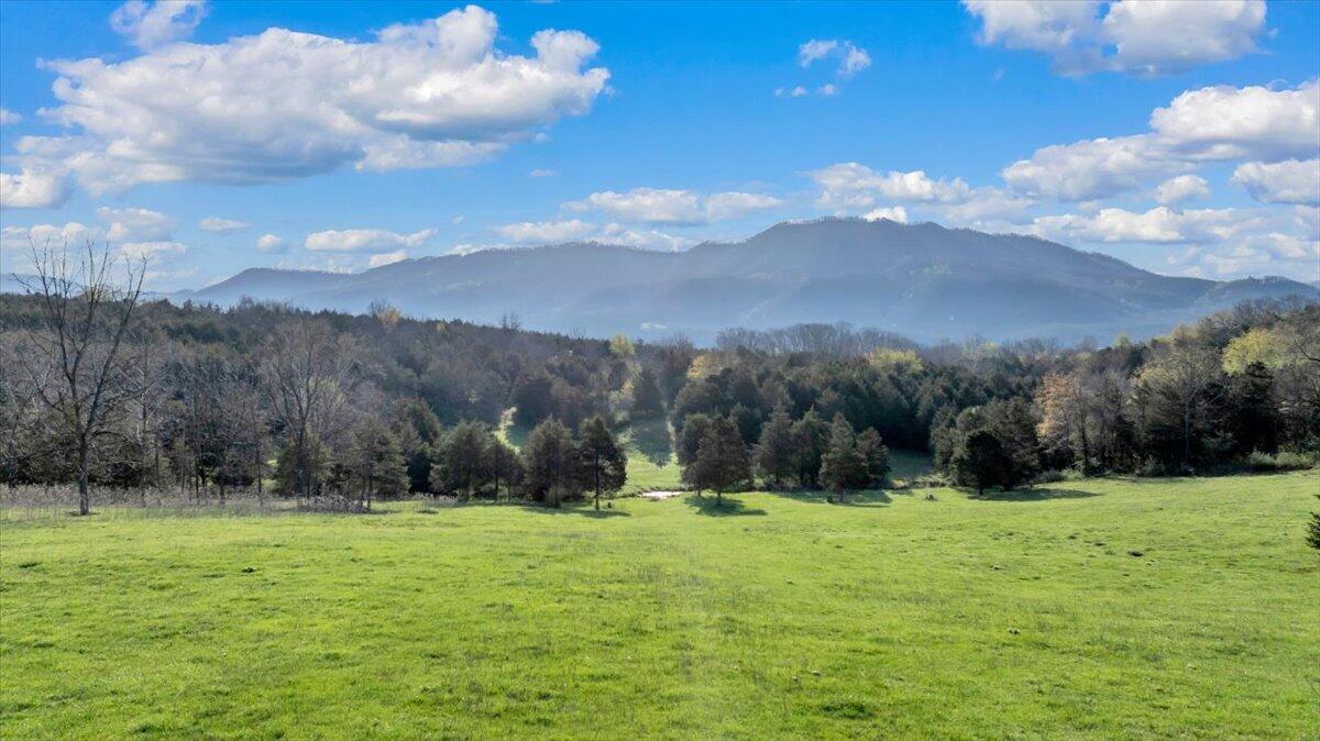 484 Mill Pointe Road Blacksburg, VA 24060 - Photo 2 of 73 20-DJI_20260404073159_0321_D