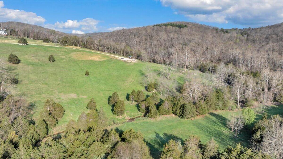 484 Mill Pointe Road Blacksburg, VA 24060 - Photo 25 of 73 21-DJI_20260404073258_0323_D