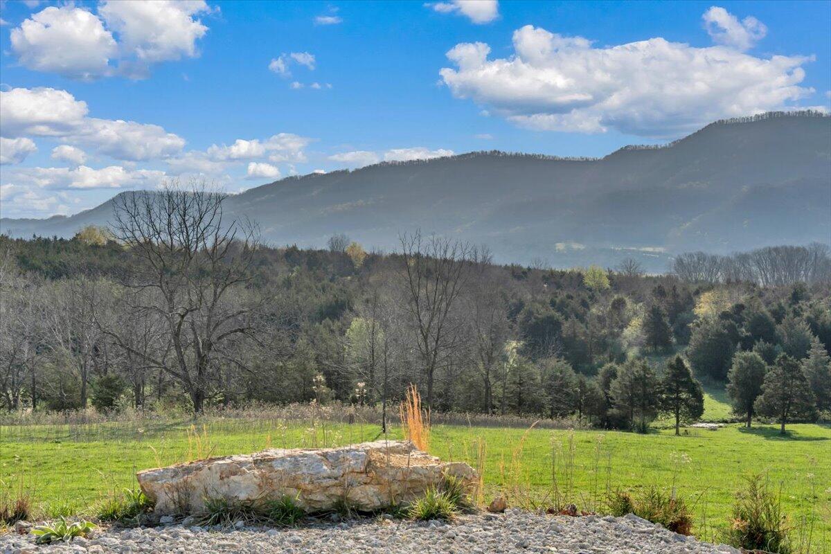 484 Mill Pointe Road Blacksburg, VA 24060 - Photo 33 of 73 29-MIB09261