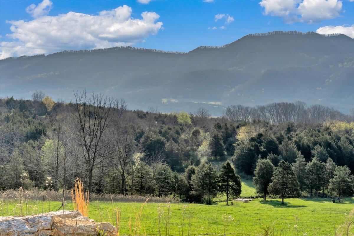 484 Mill Pointe Road Blacksburg, VA 24060 - Photo 34 of 73 30-MIB09264