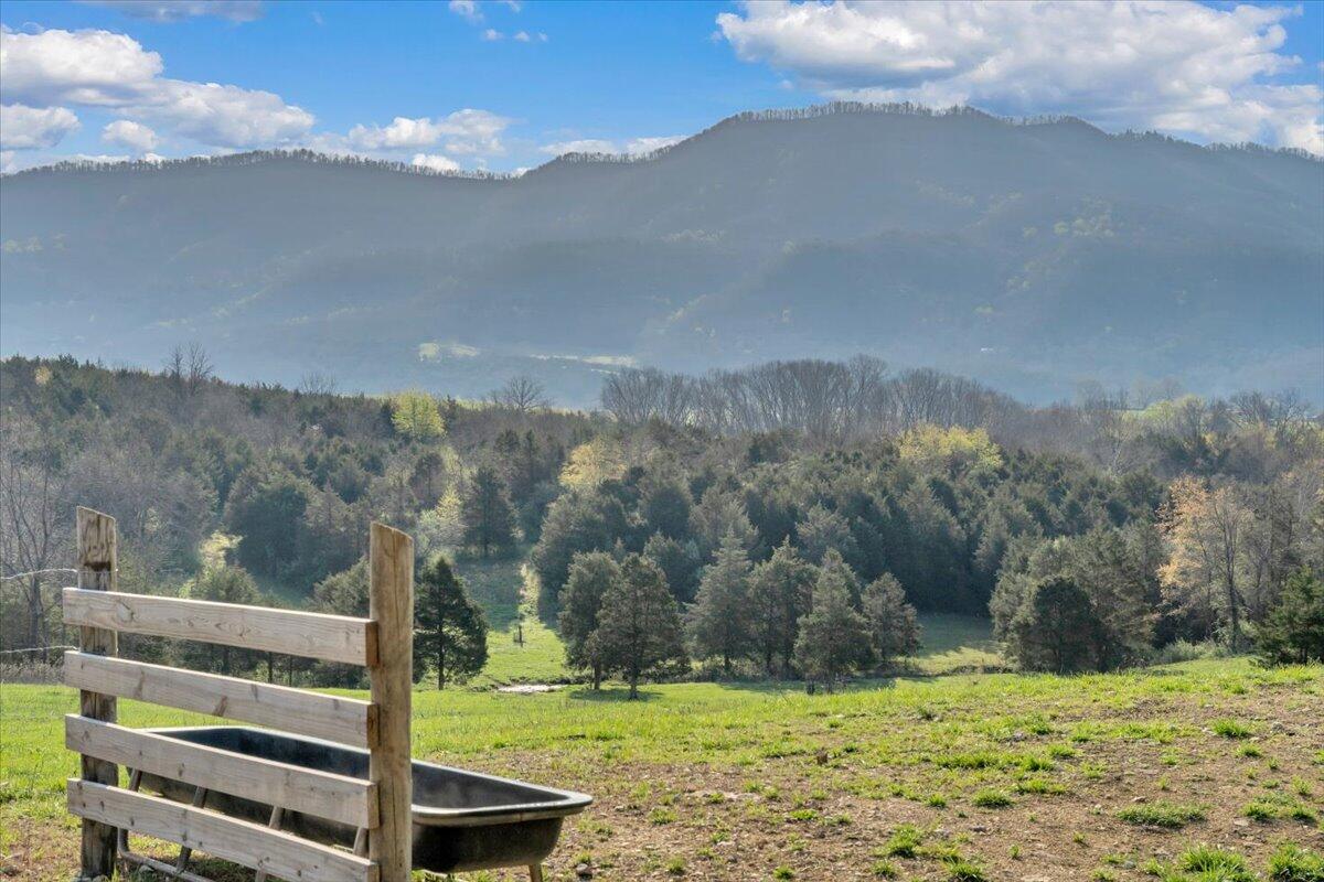 484 Mill Pointe Road Blacksburg, VA 24060 - Photo 35 of 73 31-MIB09267