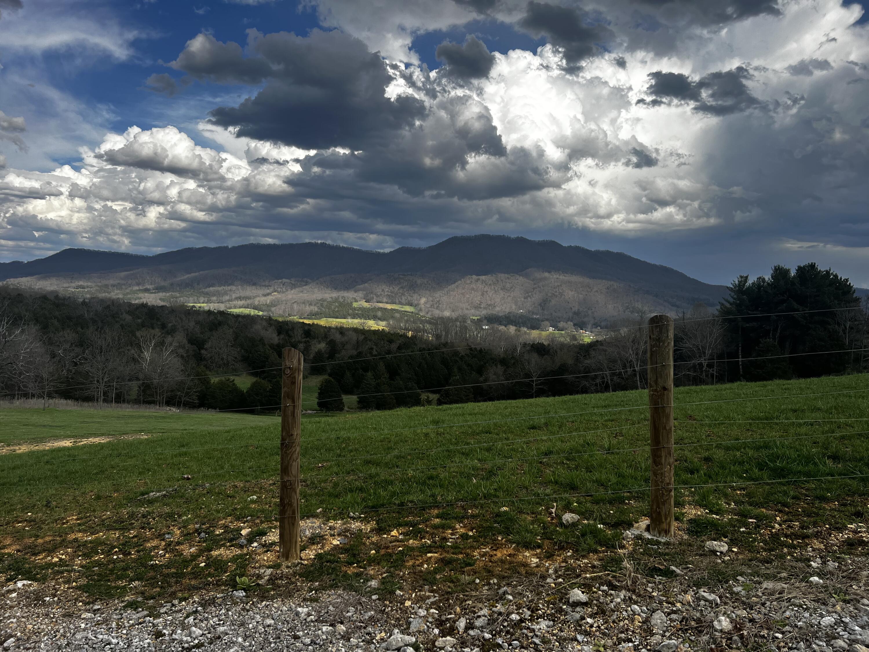 484 Mill Pointe Road Blacksburg, VA 24060 - Photo 4 of 73 20260401_205256948_iOS