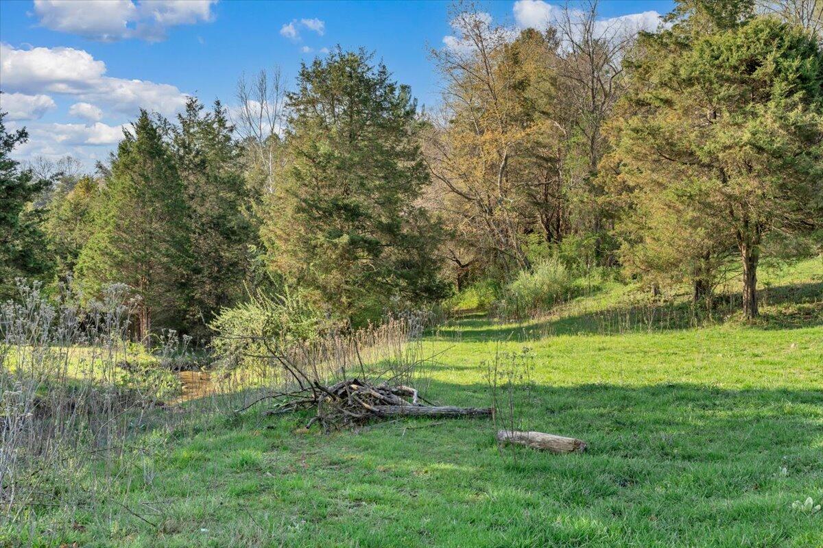484 Mill Pointe Road Blacksburg, VA 24060 - Photo 41 of 73 37-MIB09285