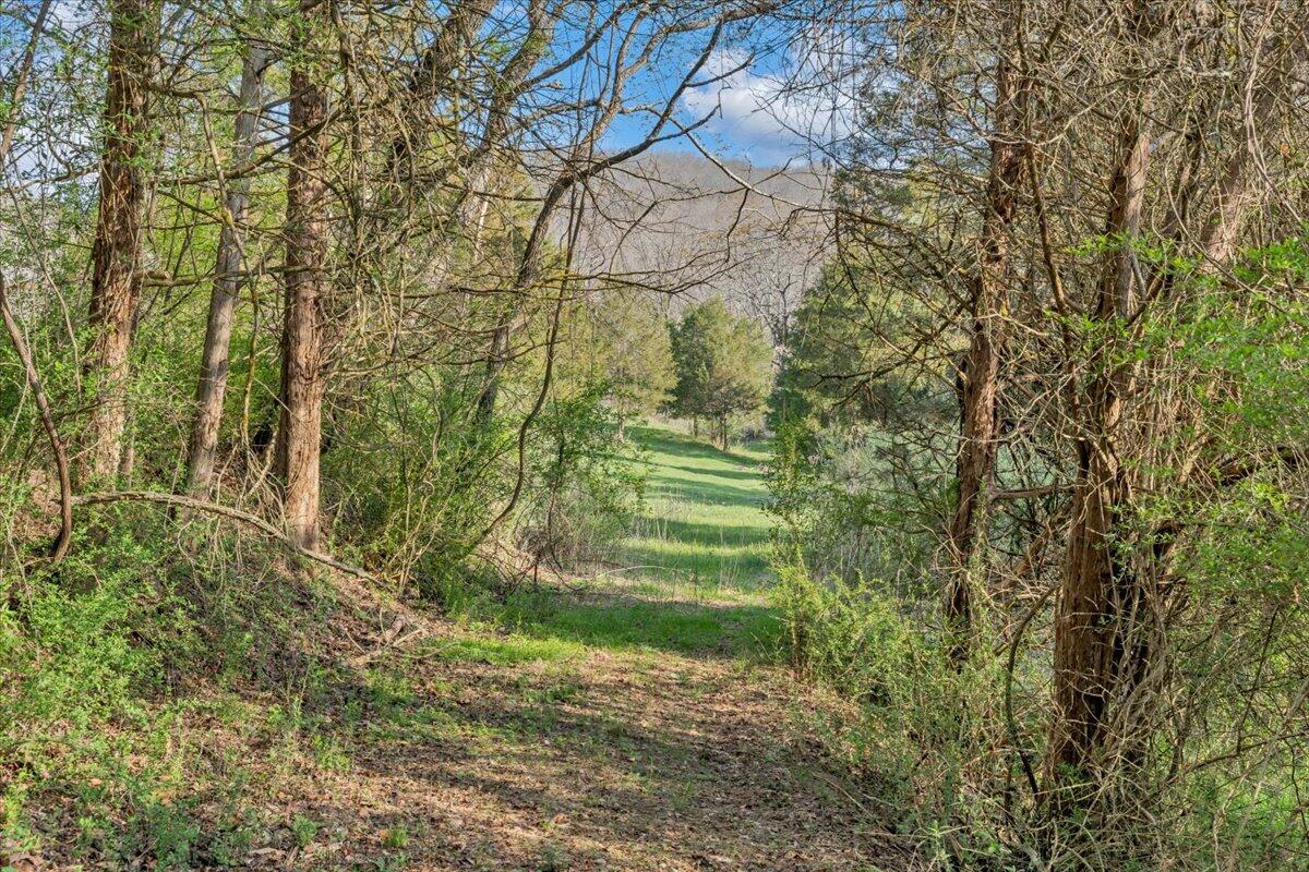 484 Mill Pointe Road Blacksburg, VA 24060 - Photo 42 of 73 38-MIB09288