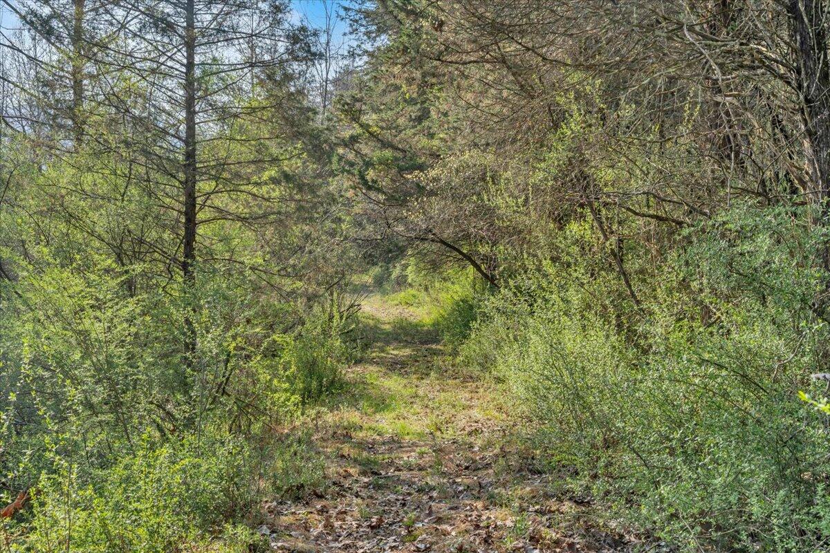 484 Mill Pointe Road Blacksburg, VA 24060 - Photo 43 of 73 39-MIB09294
