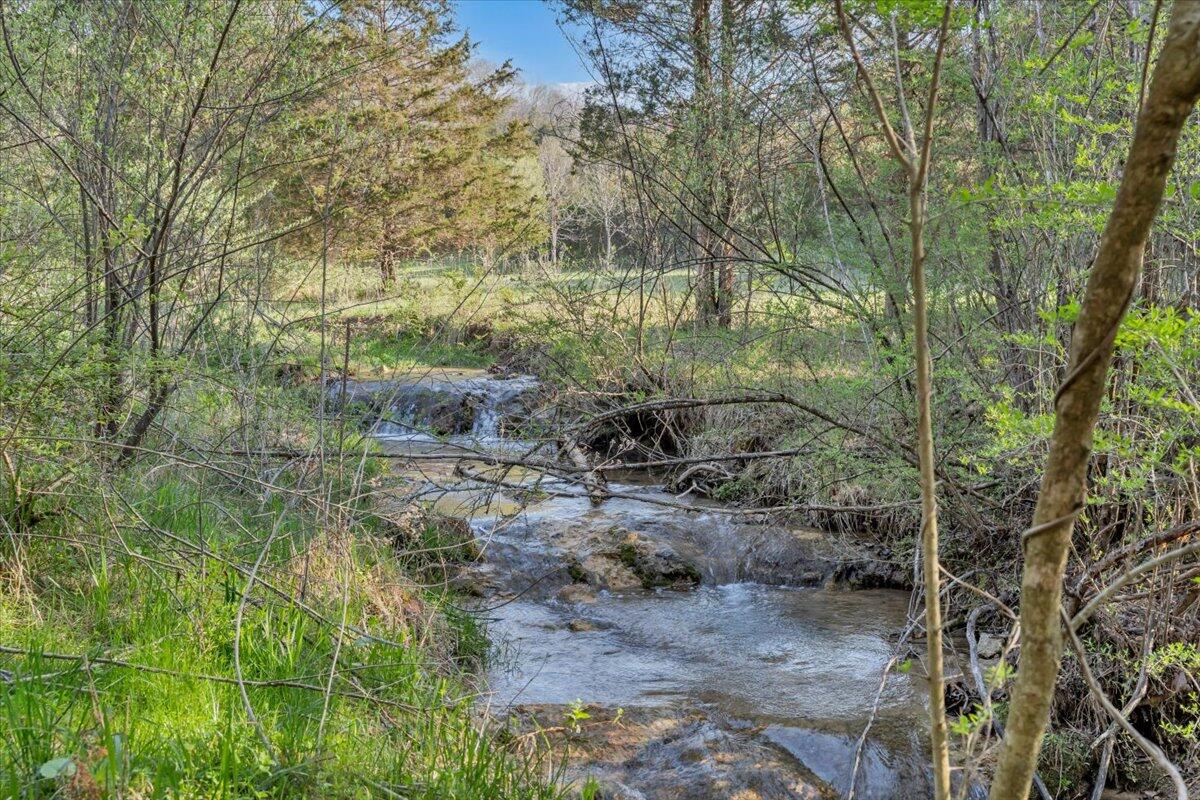 484 Mill Pointe Road Blacksburg, VA 24060 - Photo 44 of 73 40-MIB09300