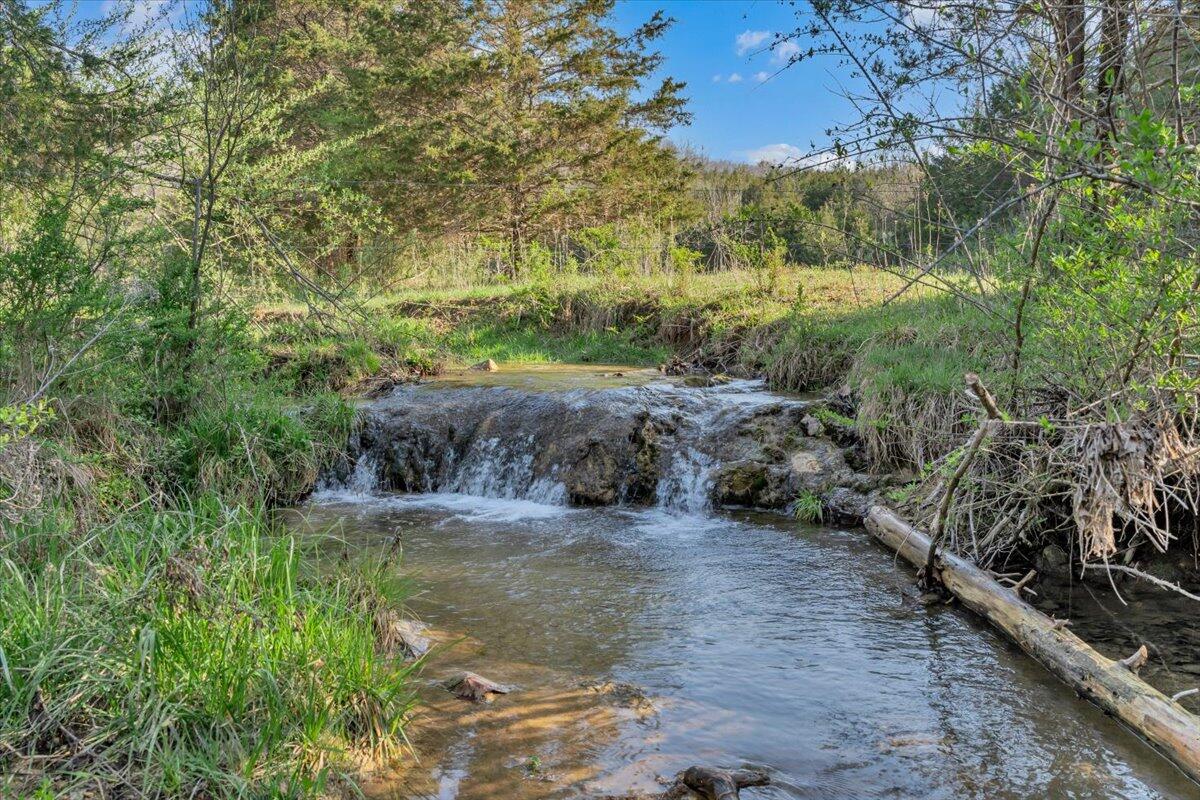 484 Mill Pointe Road Blacksburg, VA 24060 - Photo 45 of 73 41-MIB09303