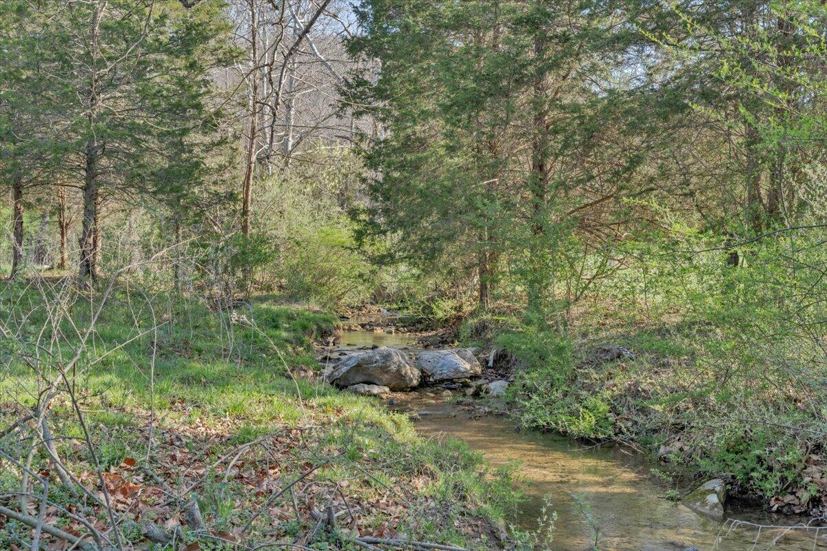 484 Mill Pointe Road Blacksburg, VA 24060 - Photo 46 of 73 42-MIB09306