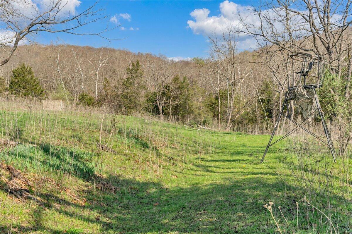 484 Mill Pointe Road Blacksburg, VA 24060 - Photo 47 of 73 43-MIB09309