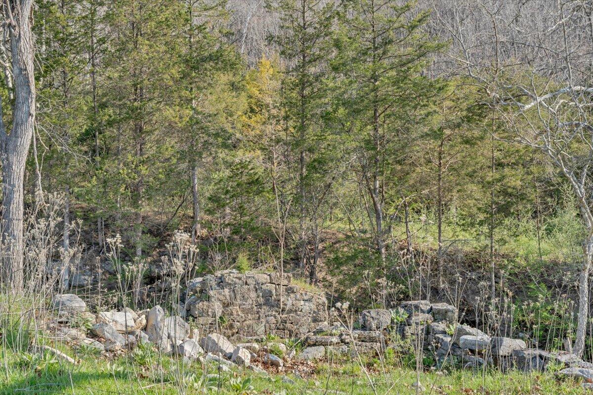 484 Mill Pointe Road Blacksburg, VA 24060 - Photo 49 of 73 45-MIB09315