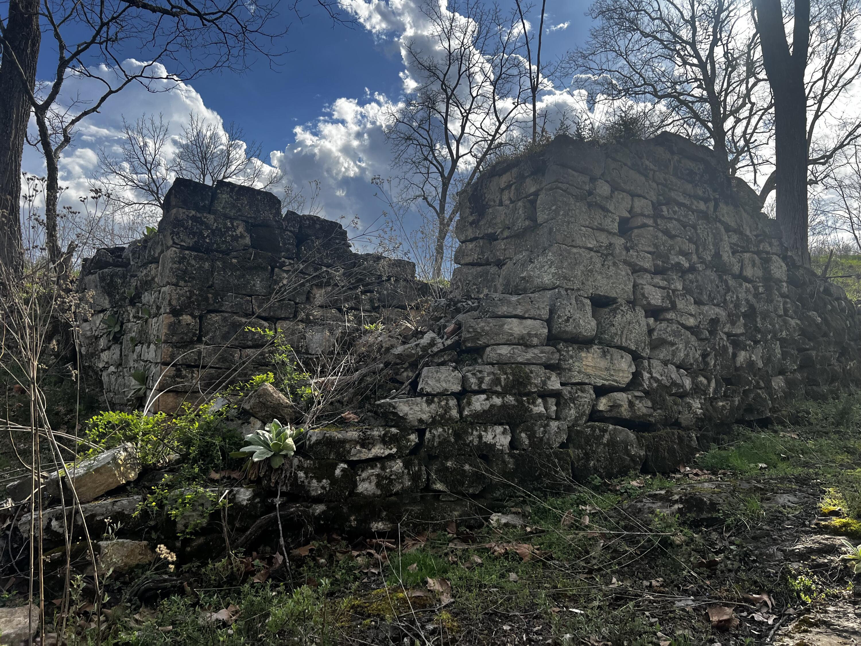 484 Mill Pointe Road Blacksburg, VA 24060 - Photo 5 of 73 20260401_203615552_iOS