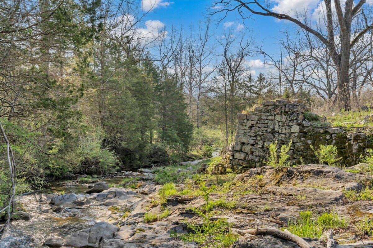 484 Mill Pointe Road Blacksburg, VA 24060 - Photo 51 of 73 47-MIB09321