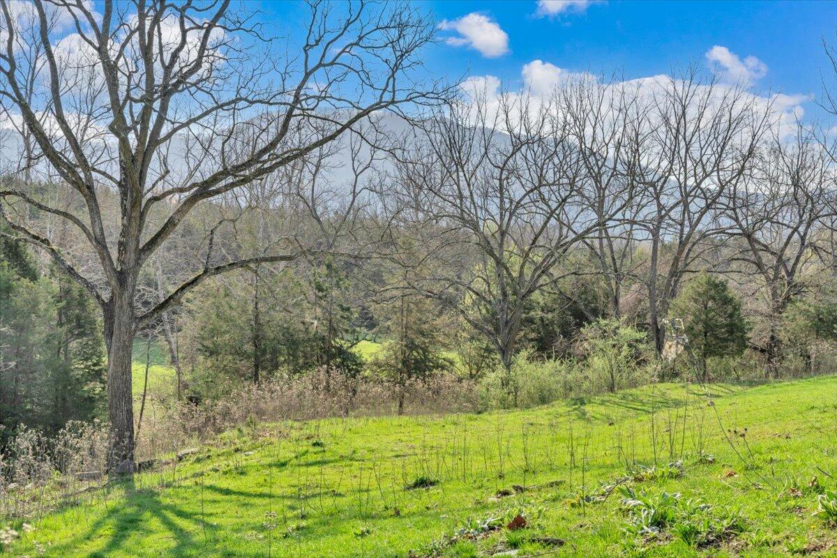484 Mill Pointe Road Blacksburg, VA 24060 - Photo 54 of 73 50-MIB09330