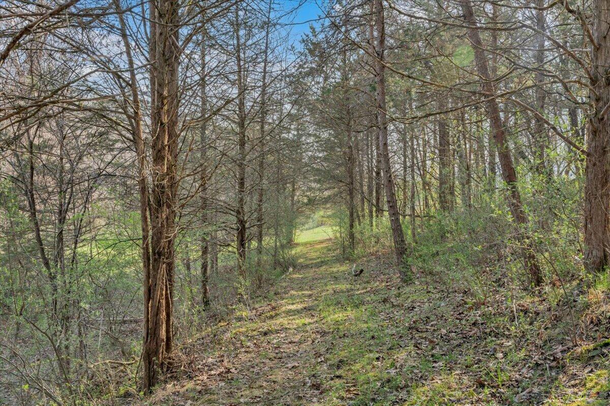 484 Mill Pointe Road Blacksburg, VA 24060 - Photo 55 of 73 51-MIB09333