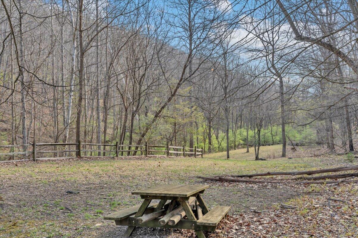 484 Mill Pointe Road Blacksburg, VA 24060 - Photo 57 of 73 53-MIB09339