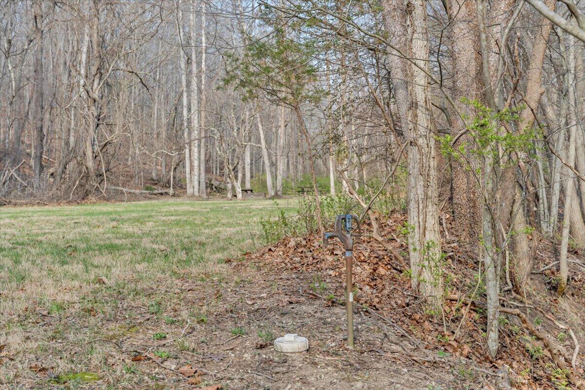 484 Mill Pointe Road Blacksburg, VA 24060 - Photo 58 of 73 54-MIB09342