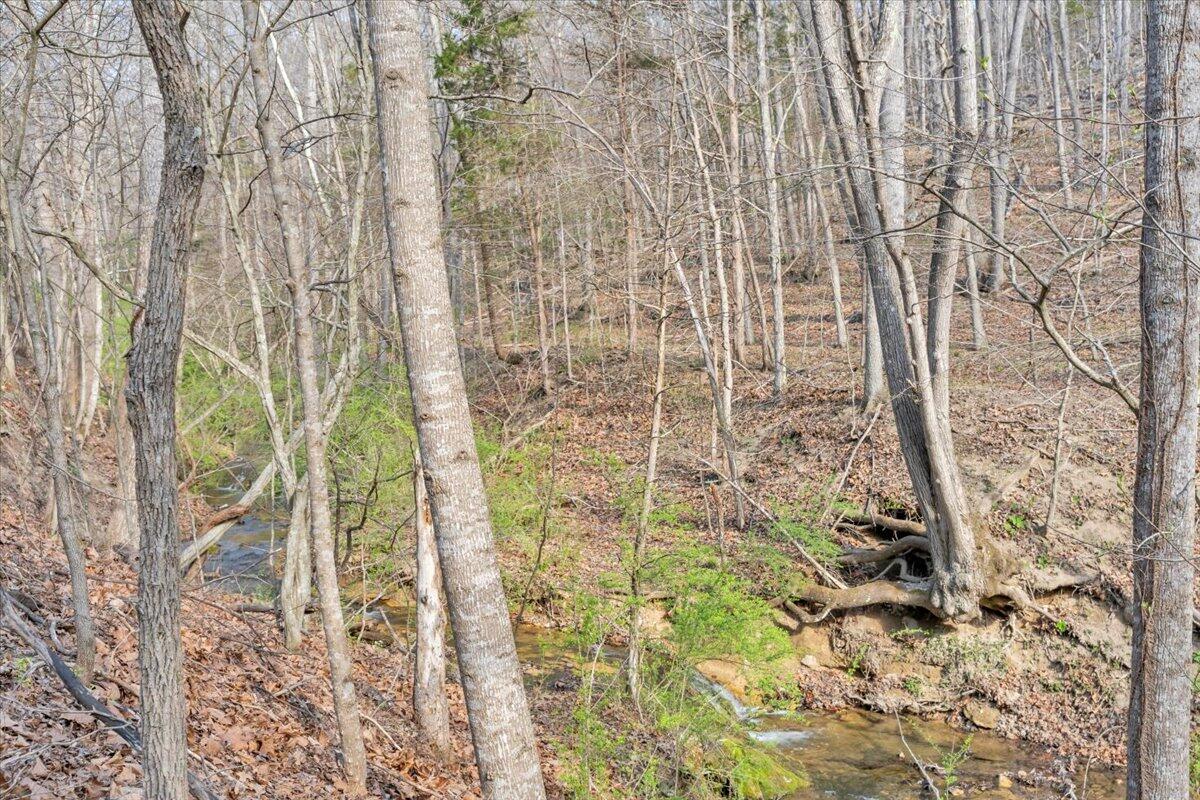 484 Mill Pointe Road Blacksburg, VA 24060 - Photo 59 of 73 55-MIB09345