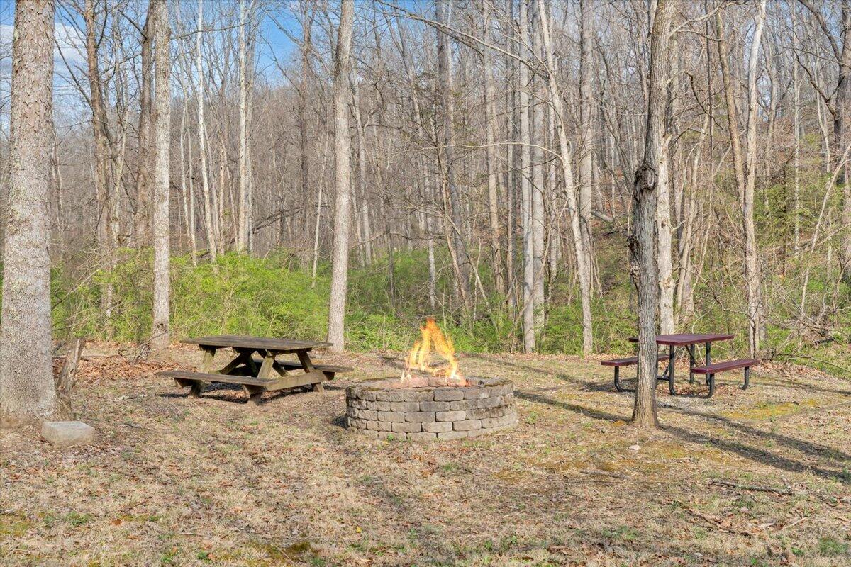 484 Mill Pointe Road Blacksburg, VA 24060 - Photo 60 of 73 56-MIB09348